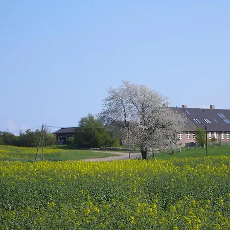 Vogelhaus Gobbin *